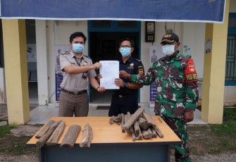 Satuan tugas pengamanan perbatasan RI-Malaysia Yonif 407/PK bersama Instansi Bea & Cukai Kelas II Nanga Badau menyerahkan barang bukti berupa kayu gaharu mentah seberat 13,5 Kg dan gaharu kepingan seberat 2,5 Kg kepada Stasiun Karantina Pertanian Kelas I Entikong Wilker Nanga Badau bertempat di Kantor Bea & Cukai Nanga Badau, Kecamatan Badau, Kabupaten Kapuas Hulu, Kalbar.