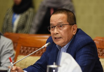 Anggota Komisi IX DPR RI Darul Siska 