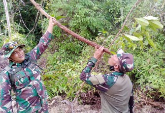 Satgas TMMD Percayai Minum Akar Bajakah, Bisa Miliki Banyak Manfaat Untuk Kesehatan