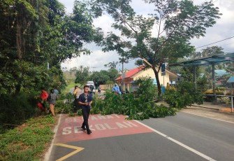  pemerintah Desa Lancangkuning melakukan Pemangkasan dan penebangan pohon di sepanjang jalan yang berada di area pemerintahannya