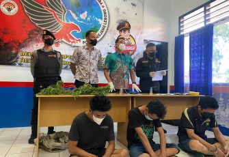 Tiga Terduga Pelaku Diamankan  