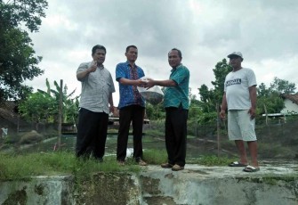 Alimin Serahkan 16 Ribu Bibit Ikan ke Warga 