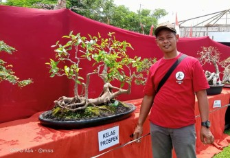 Partisipasi KBP dalam kontes bonsai