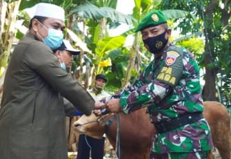 Penyerahan satu ekor hewan kurban