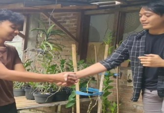 UMKM Budidaya Tanaman Anggrek