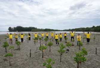 Gubernur Rohidin saat Tanam Bibit Mangrove di Kampung Jenggalu Kito