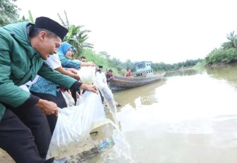 Menebar Bibit ikan di Sungai Barumun 