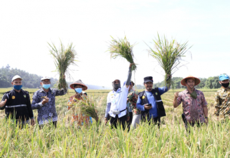 Program Makmur Mampu Meningkatkan Kesejahteraan Petani