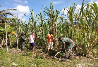 Satgas Yonif 643/Wns dukung ketahanan pangan