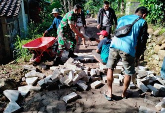 Babinsa Ngrayudan Bersama Warga Bahu membahu Pavingisasi Jalan