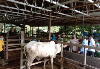 Serka Joko sosialisasi ke peternak bahaya virus PMK. Selasa (17/05/2022)