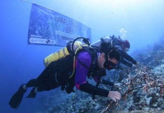 Danyonmarhanlan IX Ambon turut serta ikuti transplantasi terumbu karang di perairan negri Morella Kabupaten Maluku Tengah 