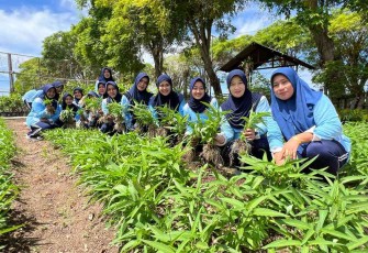 Panen sayur mayur di kebun barokah Lanud Maimun Saleh 