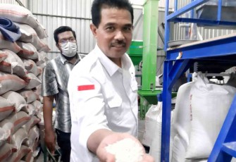 Dirjen Tanaman Pangan Suwandi saat meninjau beras hasil penggilingan padi