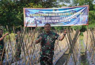 Bibit melon Pertiwi di lahan Bosbow Komplek Korem 081/DSJ