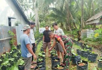 Babinsa dukung Hanpangan di Karimunting 
