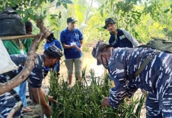 Pelatihan budidaya mangrove di Lanal Batuporon Madura