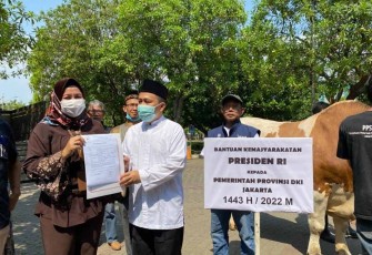 Hewan kurban presiden Joko Widodo 