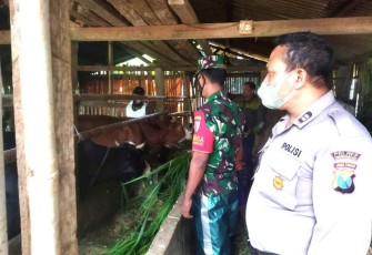 Gencarkan pengecekan kesehatan hewan ternak warga binaan