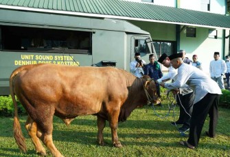 Pangdivif 2 Kostrad saat menyerahkan hewan qurban 