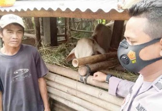 Pengecekan hewan ternak antisipasi penyebaran virus PMK di wilayah Polres Banjarnegara 
