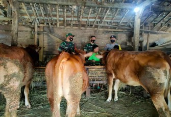 Pengecekan hewan ternak warga binaan