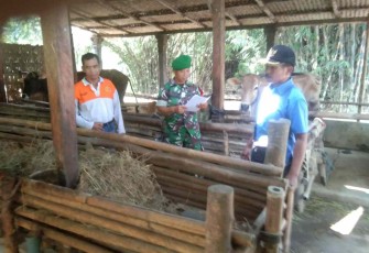 Pengecekan hewan ternak warga di wilayah binaan 