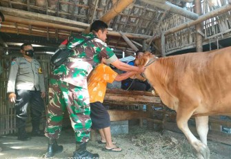 Pengecekan kesehatan hewan ternak warga binaan