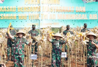 Pangkostrad Letjen TNI Maruli Simanjuntak saat panen raya jagung mendampingi di desa Ciemas Sukabumi Kasad 