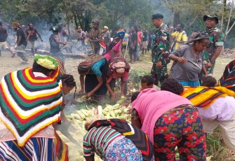 Tradisi bakar batu masyarakat Mamberamo