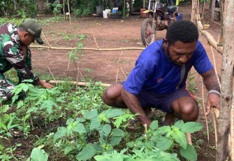 Manfaatkan lahan pekarangan rumah jaga ketahanan pangan di perbatasan 