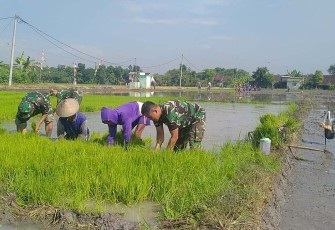 Tanam padi bersama warga binaan