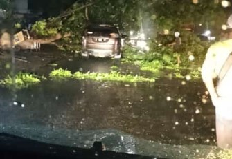 Pohon tumbang timpa mobil warga 