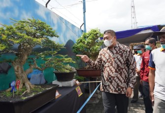 Wakil Bupati Malang, Didik Gatot Subroto, saat menghadiri kontes bonsai di Cop Sae, Kecamatan Pujon