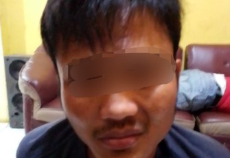 Pelaku pencurian