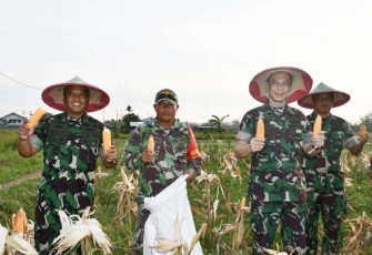 Danrem 181/PVT Brigjen TNI Wawan Erawan saat panen jagung,