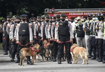 Anjing Ras K9 Polda Jateng