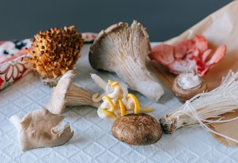 Jamur Enoki (sumber foto:pixel.com)