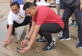 Pangdam Lepas Puluhan Tukik saat Jalan Santai di Pantai Sanur