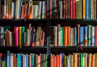 Ilustrasi Perpustakaan – Sumber : pexels.com