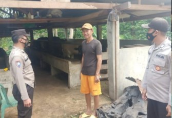 Polisi Tracing dan Sosialisasi Kepada Pemilik Ternak