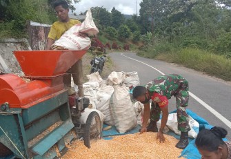 Serda Idinsyah saat membantu petani merontokan jagung hasil panen