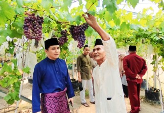 Wakil Bupati Bintan Ahdi Muqsith bersama pemilik anggur mahdinar saat memotong buah Anggur