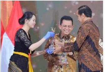 Gubernur Provinsi Kepulauan Riau Terima Penghargaan dari Presiden Jokowi