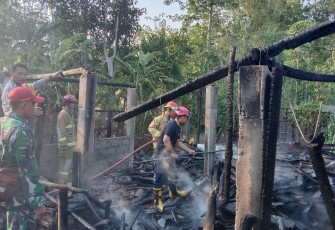 Babinsa Salamrejo Sertu Nurhadi Koramil 0806/08 Karangan, Bhabinkamtibmas, dan Tim Pemadam Kebakaran Trenggalek berjibaku untuk memadamkan api yang melalap kandang ayam dan kambing milik Bapak Samiran, seorang warga RT. 14 RW. 06 Dusun Jajar Desa Salamrejo
