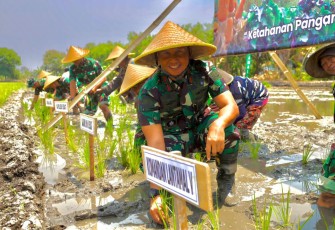 Komandan Pangkalan Utama TNI AL (Danlantamal) V Brigjen TNI Marinir Joni Sulistiawan, S. H., M. Han mengikuti gerakan nasional ketahanan pangan nasional 