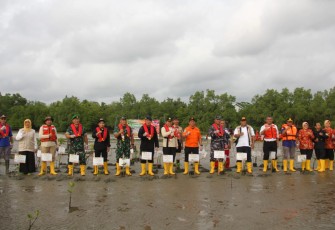 Pemprov Bengkulu Dukung Reboisasi Mangrove Kawasan Pesisir Pantai