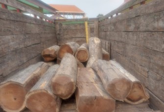 Barang bukti kayu jati hasil curian yang berhasil diamankan Polhut Perhutani KPH Randublatung.