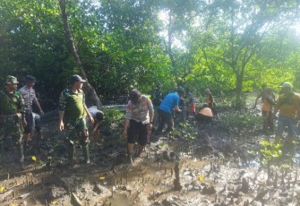 Kodim 1416/Muna Tanam Pohon Mangrove