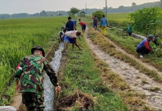 Babinsa saat Bantu Warga Bersihkan Saluran Irigasi di Area Persawahan